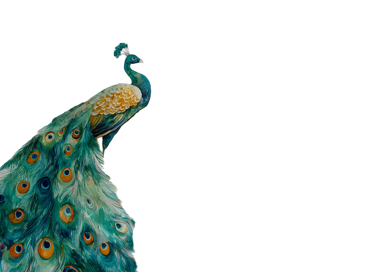 Peacock Tail Florals Vinyl Car Decal Sticker – Waterproof & UV-Resistant 3.0933333333333333"