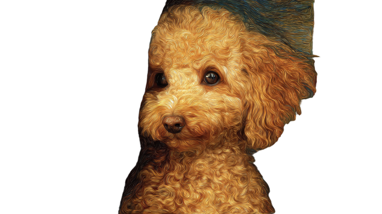 Van Gogh Poodle Vinyl Car Decal Sticker – Waterproof & UV-Resistant 2.72"