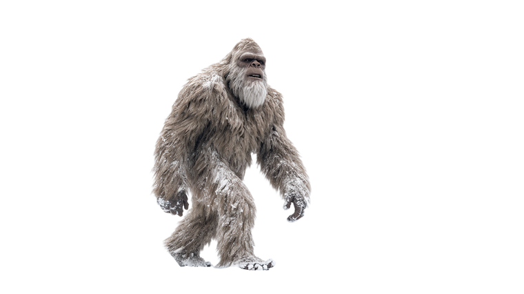 Sasquatch Portrait V2 Vinyl Car Decal Sticker – Waterproof & UV-Resistant 2.72"