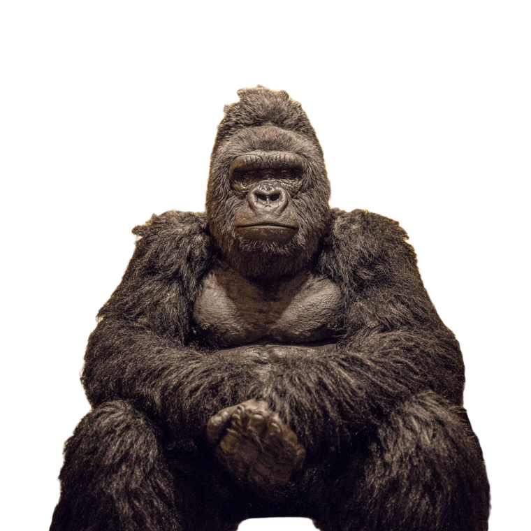 Man In Gorilla Suit V2 Vinyl Car Decal Sticker – Waterproof & UV-Resistant 6.826666666666667"