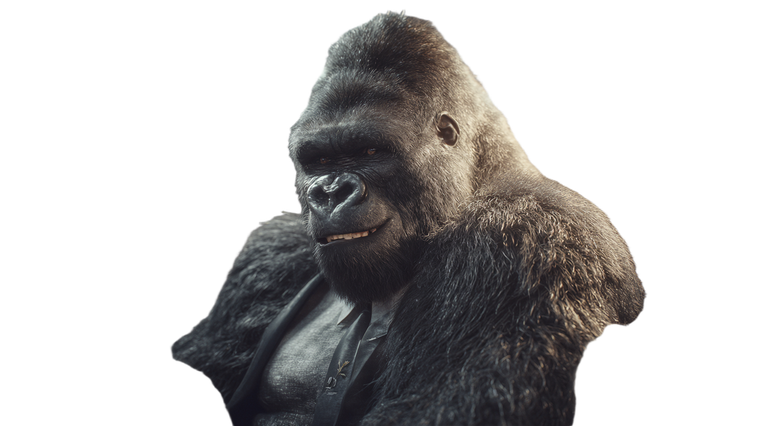 Business Gorilla Chatting Vinyl Car Decal Sticker – Waterproof & UV-Resistant 5.4