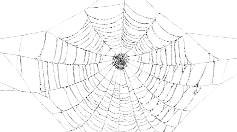 White Spiderweb Vinyl Car Decal Sticker – Waterproof & UV-Resistant 5.4