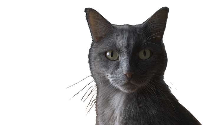 Gray Cat V7 Vinyl Car Decal Sticker – Waterproof & UV-Resistant 2.72"