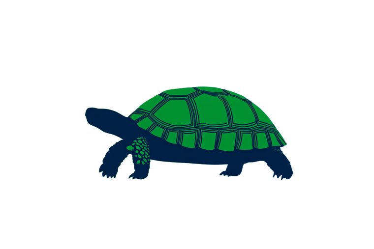 Tortoise Flag Vinyl Car Decal Sticker – Waterproof & UV-Resistant 2.986666666666667"