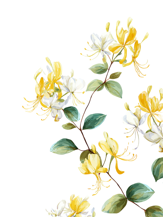 Honeysuckle Vine Blooms Vinyl Car Decal Sticker – Waterproof & UV-Resistant 4.1066666666666665"