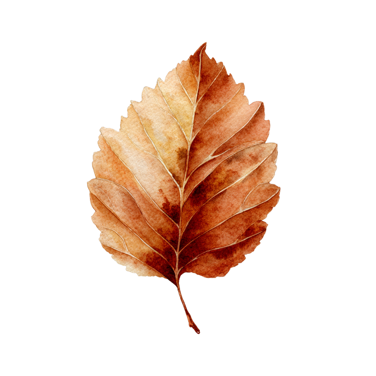 Brown Leaf Illustration Vinyl Car Decal Sticker – Waterproof & UV-Resistant 3.4133333333333336"