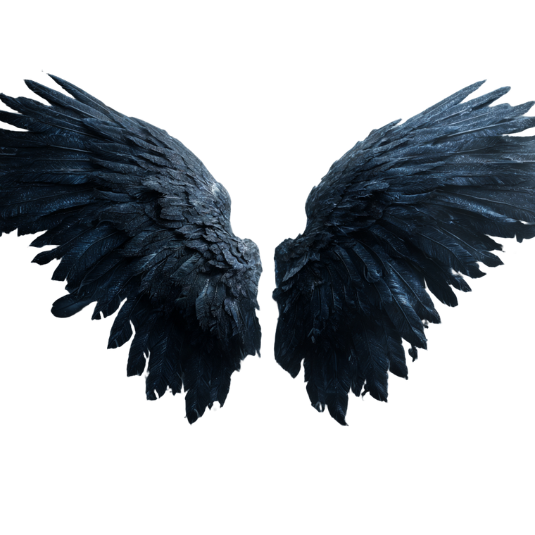 Majestic Angel Wings V4 Vinyl Car Decal Sticker – Waterproof & UV-Resistant 3.4133333333333336"