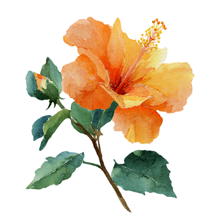 Orange Hibiscus Flower Vinyl Car Decal Sticker – Waterproof & UV-Resistant 3.4133333333333336"