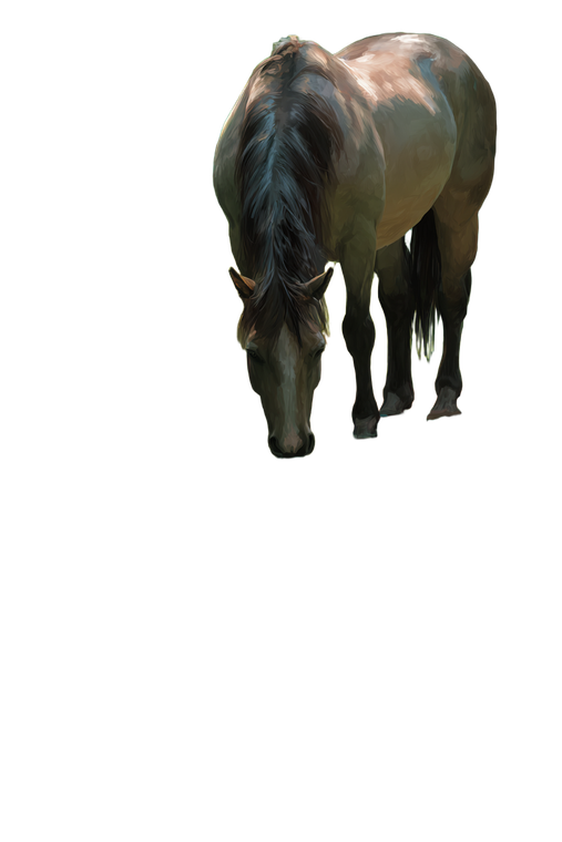 Horse Drinking Creek Vinyl Car Decal Sticker – Waterproof & UV-Resistant 8.96"