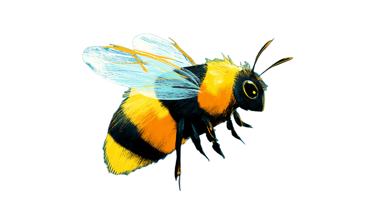 Flying Bee Illustration V2 Vinyl Car Decal Sticker – Waterproof & UV-Resistant 2.72"