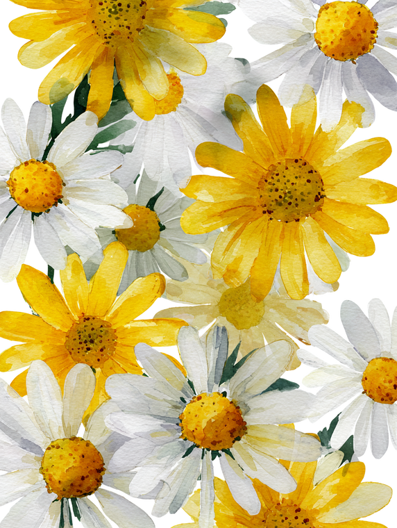 Watercolor Daisy Illustration V2 Vinyl Car Decal Sticker – Waterproof & UV-Resistant 4.1066666666666665"