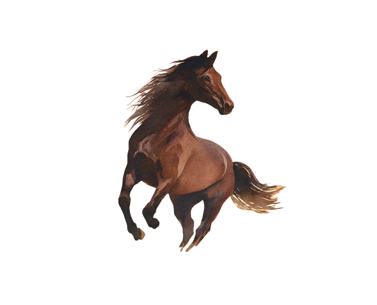 Majestic Leaping Stallion Vinyl Car Decal Sticker – Waterproof & UV-Resistant 6.
