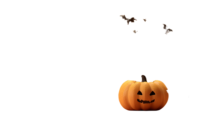 Bats Emerging Pumpkin Vinyl Car Decal Sticker – Waterproof & UV-Resistant 5.4