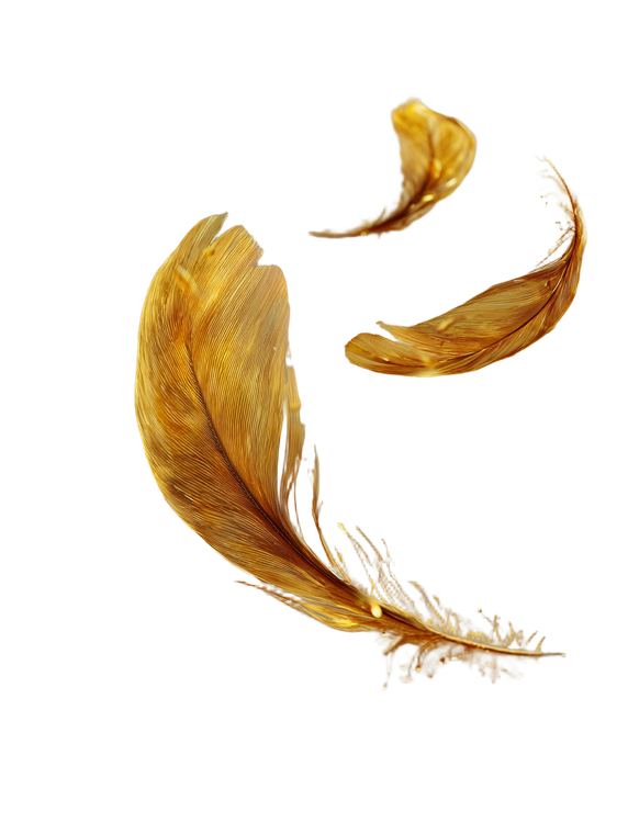 Golden Feather Arrow Vinyl Car Decal Sticker – Waterproof & UV-Resistant 8.213333333333333"