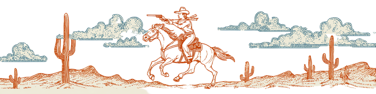 Cowgirl Riding Horse V11 Vinyl Car Decal Sticker – Waterproof & UV-Resistant 1.8133333333333332"