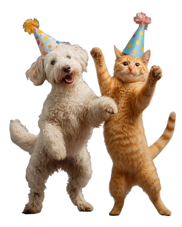 Dancing Birthday Pets Vinyl Car Decal Sticker – Waterproof & UV-Resistant 8.0"