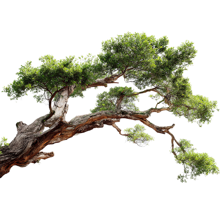 Jungle Tree Trunk Vinyl Car Decal Sticker – Waterproof & UV-Resistant 3.4133333333333336"