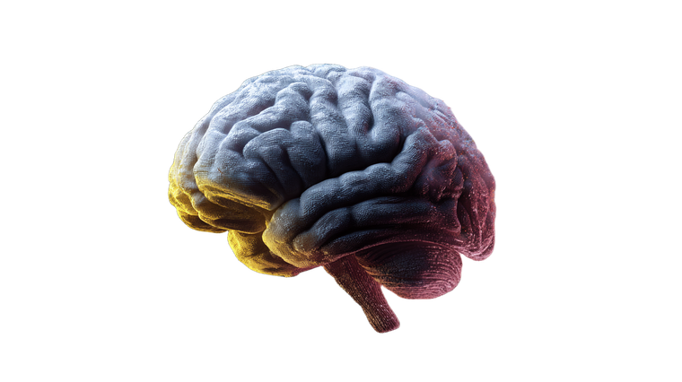 Digital Brain Emergence Vinyl Car Decal Sticker – Waterproof & UV-Resistant 2.72"