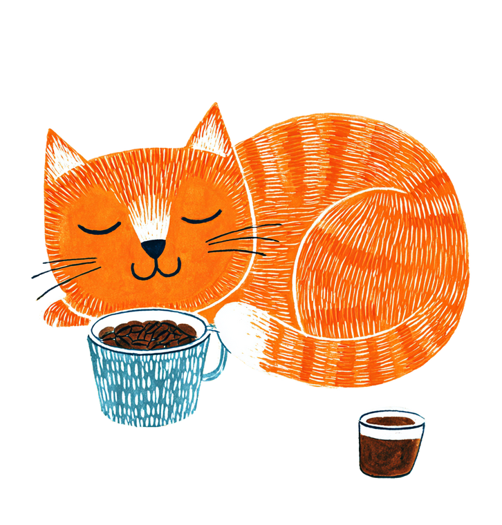 Sleeping Orange Cat V18 Vinyl Car Decal Sticker – Waterproof & UV-Resistant 3.5733333333333333"