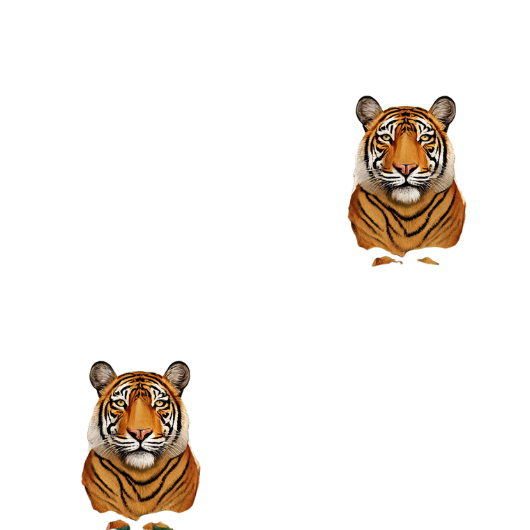 Bengal Tiger Pattern Vinyl Car Decal Sticker – Waterproof & UV-Resistant 6.826666666666667"