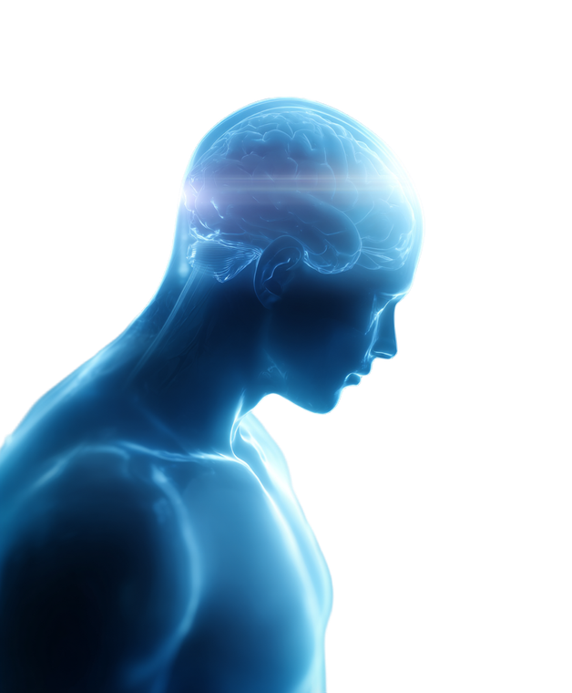 Glowing Brain Meme Vinyl Car Decal Sticker – Waterproof & UV-Resistant 8.0"