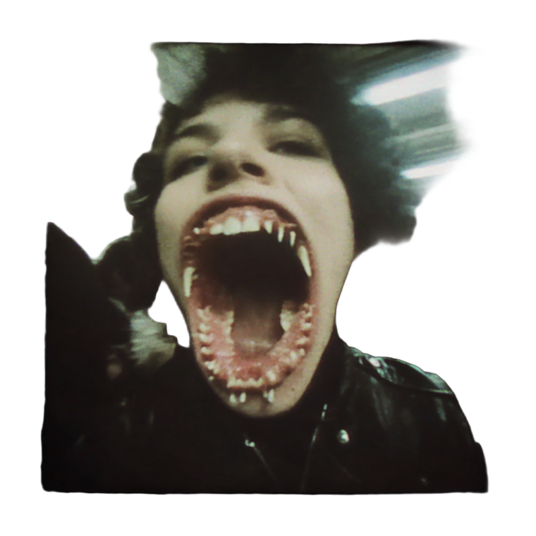 Vampire Bat Transformation Vinyl Car Decal Sticker – Waterproof & UV-Resistant 6.826666666666667"