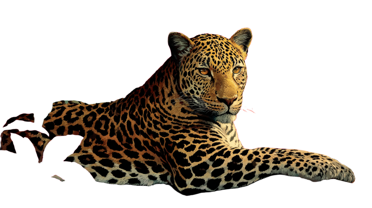 Geometric Leopard Vinyl Car Decal Sticker – Waterproof & UV-Resistant 5.4