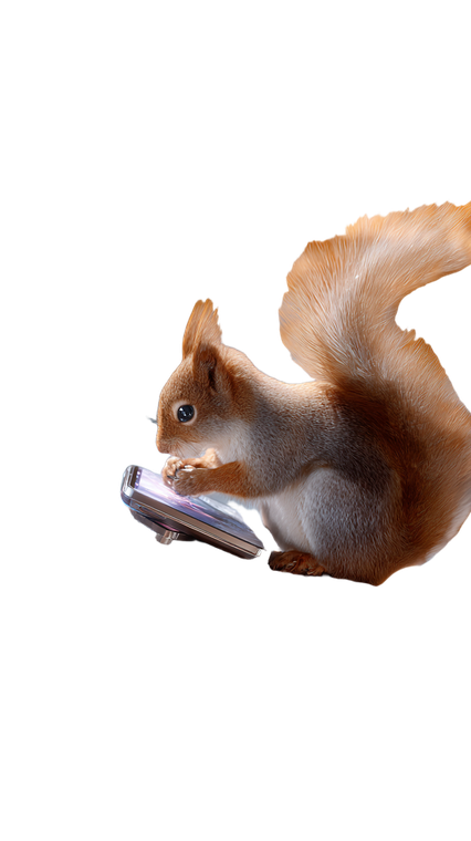 Squirrel With Electronics Vinyl Car Decal Sticker – Waterproof & UV-Resistant 9.706666666666667"