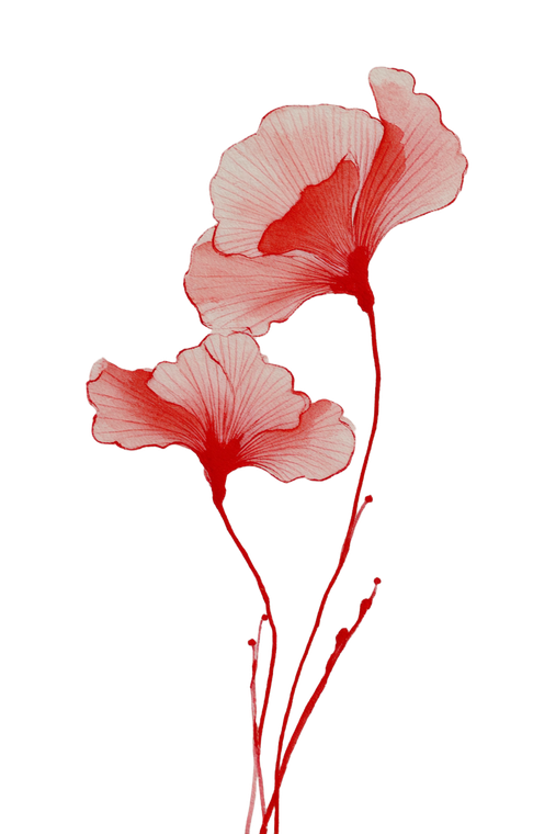 Chinese Ink Flowers V2 Vinyl Car Decal Sticker – Waterproof & UV-Resistant 8.96"