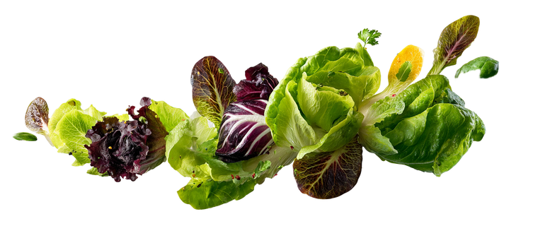 Flying Salad Vinyl Car Decal Sticker – Waterproof & UV-Resistant 5.01333333333333