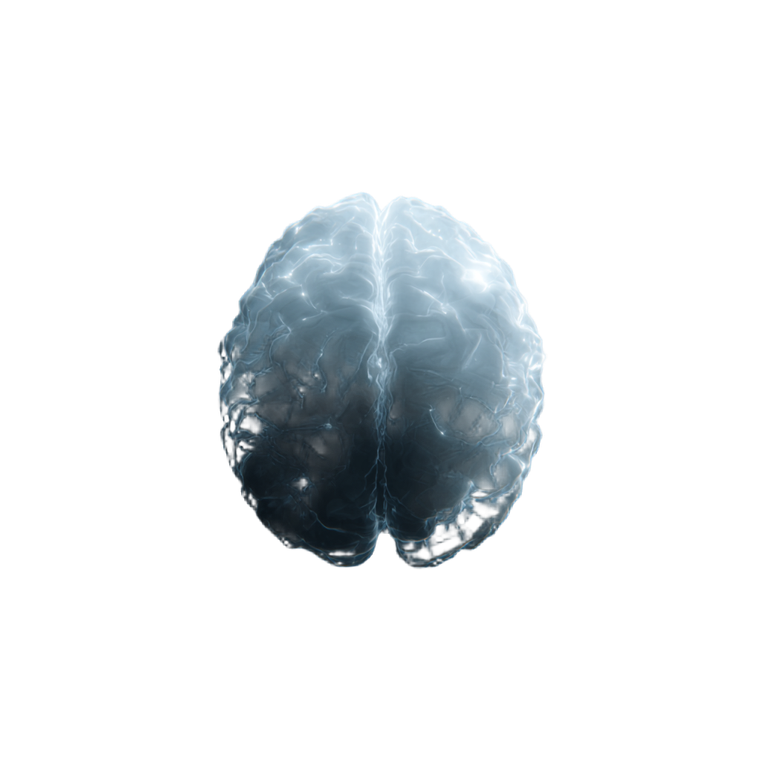 Holographic Brain Scan Vinyl Car Decal Sticker – Waterproof & UV-Resistant 6.826666666666667"