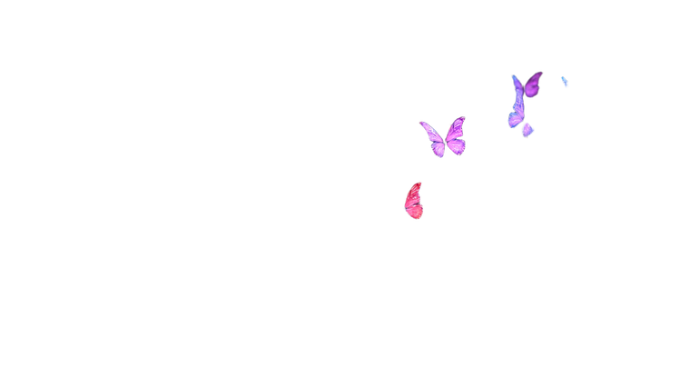 Fire And Butterflies Vinyl Car Decal Sticker – Waterproof & UV-Resistant 5.4
