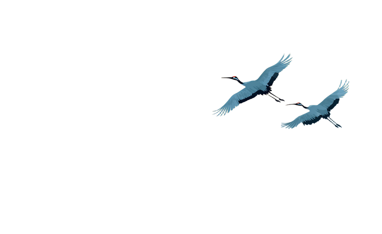 Cranes Flying Sunset Vinyl Car Decal Sticker – Waterproof & UV-Resistant 2.8