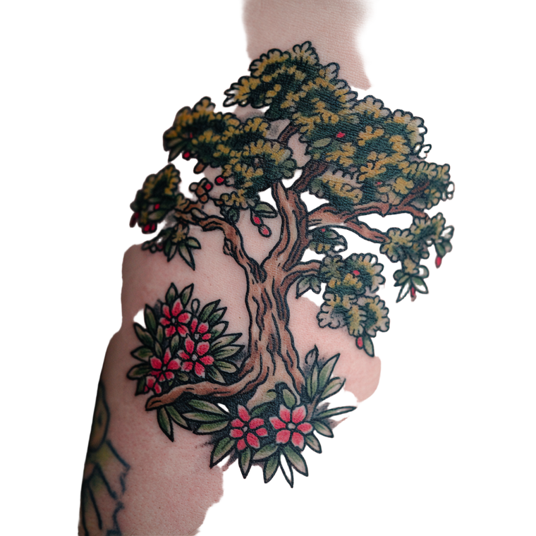 Oak Tree Tattoo Vinyl Car Decal Sticker – Waterproof & UV-Resistant 3.4133333333333336"