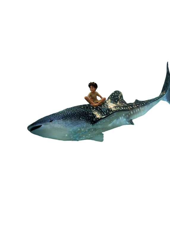 Boy On Whale Shark Vinyl Car Decal Sticker – Waterproof & UV-Resistant 4.1066666666666665"