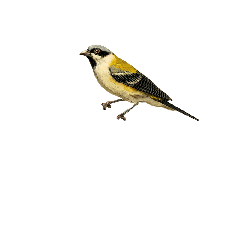 Lemon Tree Wildlife Vinyl Car Decal Sticker – Waterproof & UV-Resistant 3.4133333333333336"