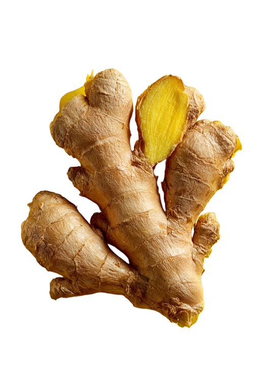 Ginger Root Close-Up Vinyl Car Decal Sticker – Waterproof & UV-Resistant 8.96"