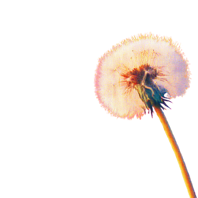Blowing Dandelion V3 Vinyl Car Decal Sticker – Waterproof & UV-Resistant 6.826666666666667"