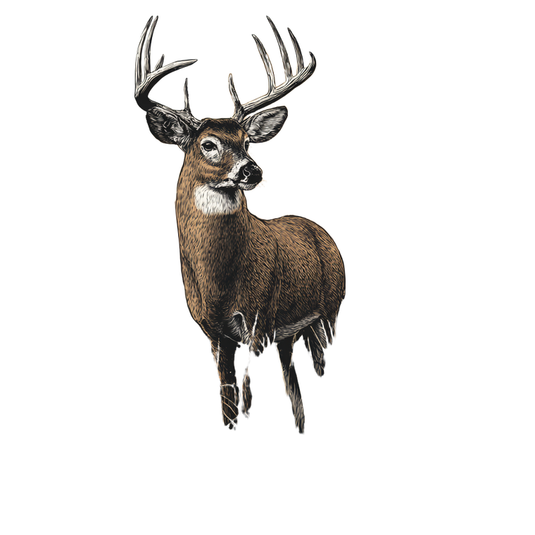 Trophy Deer Tattoo Vinyl Car Decal Sticker – Waterproof & UV-Resistant 3.4133333333333336"