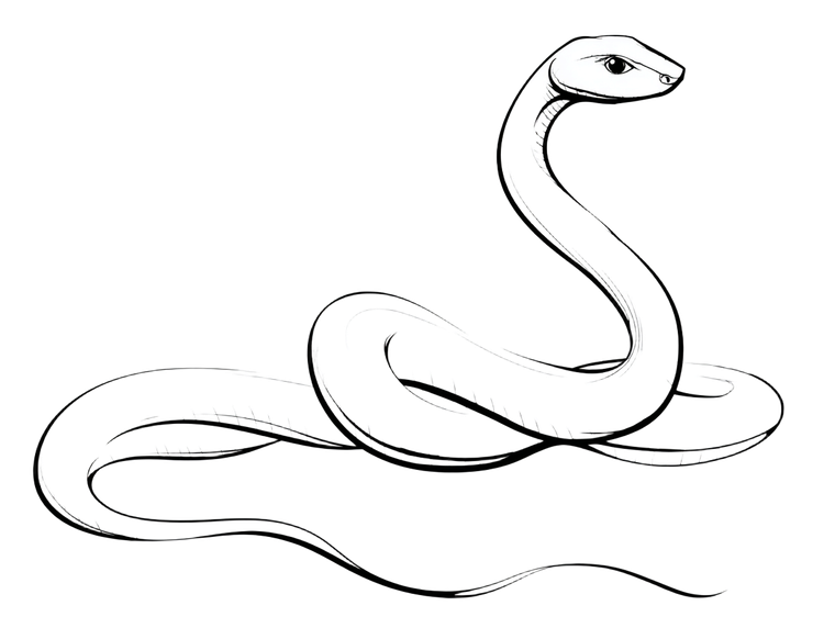 Minimalist Snake Outline Vinyl Car Decal Sticker – Waterproof & UV-Resistant 6.1866666666666665"