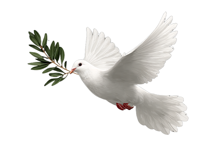 Dove With Olive Branch V6 Vinyl Car Decal Sticker – Waterproof & UV-Resistant 2.986666666666667"