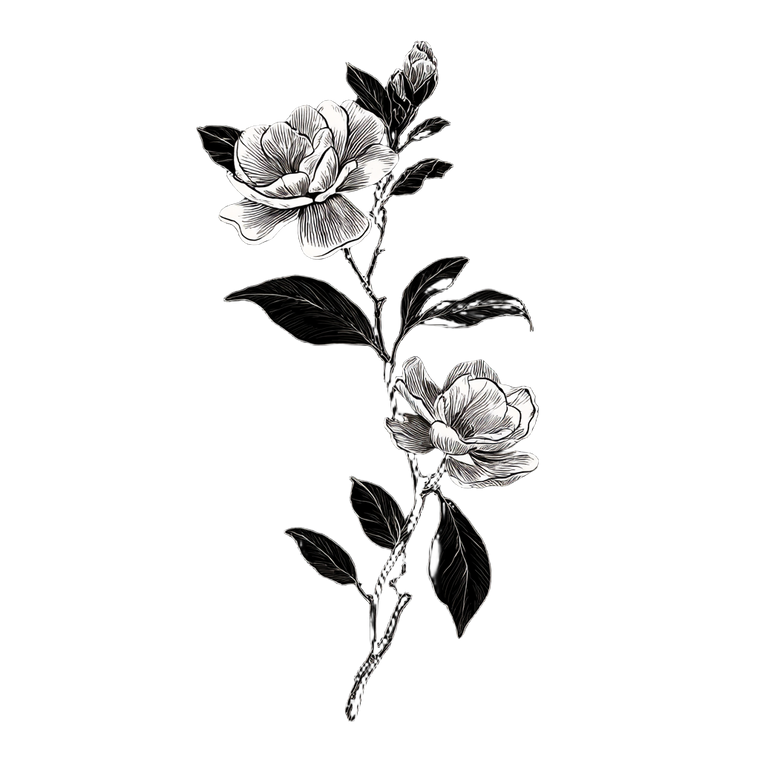 Gardenia Line Drawing Vinyl Car Decal Sticker – Waterproof & UV-Resistant 6.826666666666667"