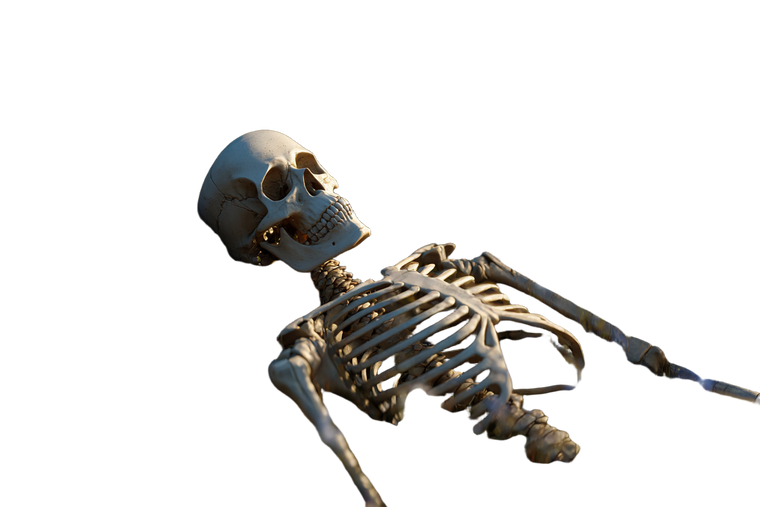 Chill Skeleton Vinyl Car Decal Sticker – Waterproof & UV-Resistant 5.97333333333333