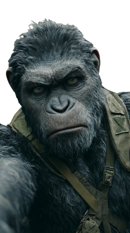 Serious Jungle Ape Vinyl Car Decal Sticker – Waterproof & UV-Resistant 9.706666666666667"