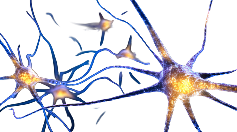 Glowing Neurons Discovery Vinyl Car Decal Sticker – Waterproof & UV-Resistant 5.4