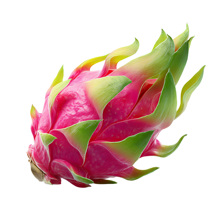 Cute Dragon Fruit Vinyl Car Decal Sticker – Waterproof & UV-Resistant 6.826666666666667"