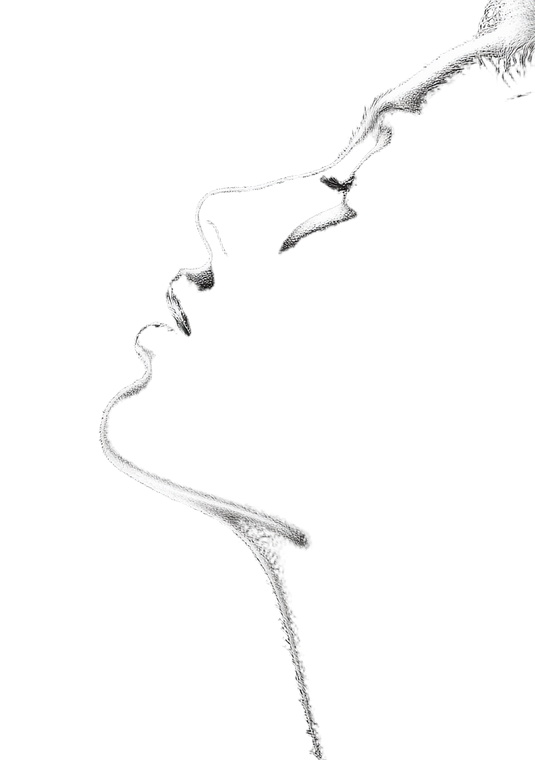 Silhouette Profile Art Vinyl Car Decal Sticker – Waterproof & UV-Resistant 4.32"