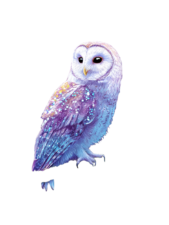 Mystical Owl Flag Vinyl Car Decal Sticker – Waterproof & UV-Resistant 8.213333333333333"