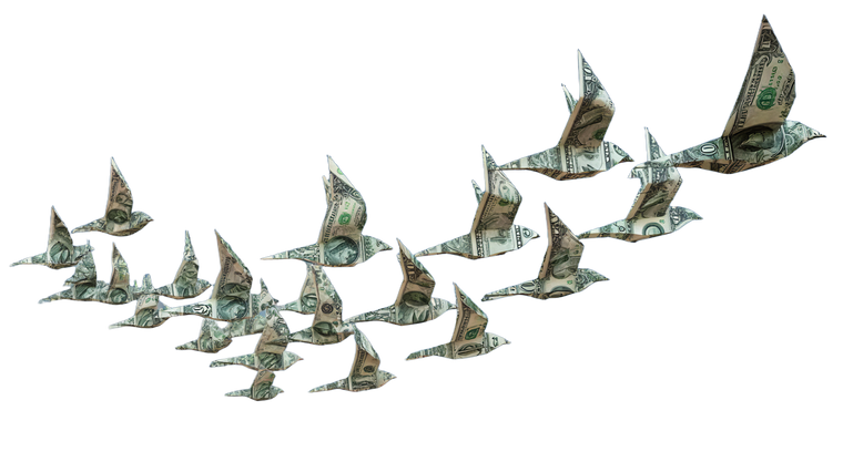 Money Bird Flock Vinyl Car Decal Sticker – Waterproof & UV-Resistant 5.4