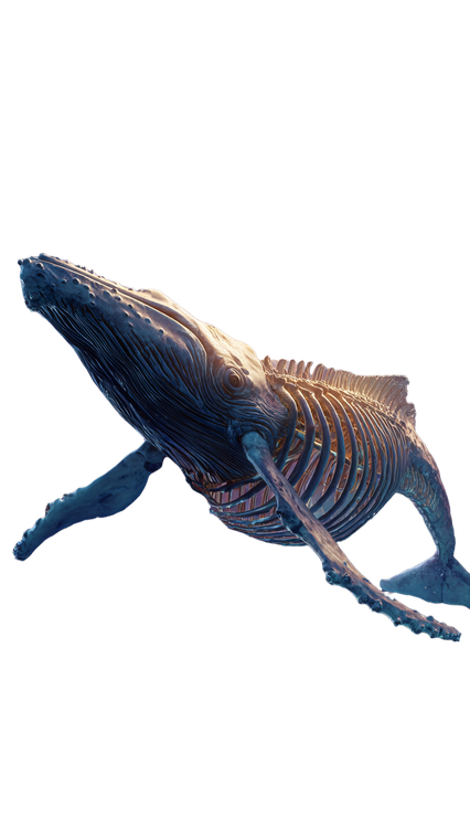 Cosmic Armored Whale Vinyl Car Decal Sticker – Waterproof & UV-Resistant 4.8533333333333335"